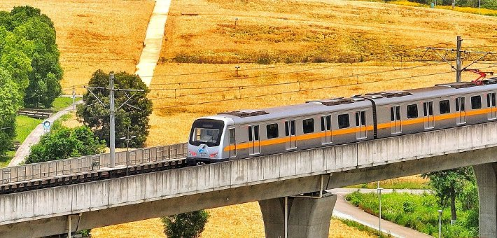 成都环城生态带的金色麦浪美不胜收