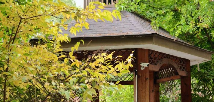 金堂这条路 “蜡”么美！“蜡”么香！