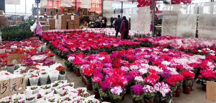 这座“花花世界” 年味浓度100%