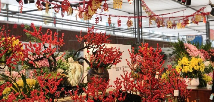 一花一蝶引爆新春消费