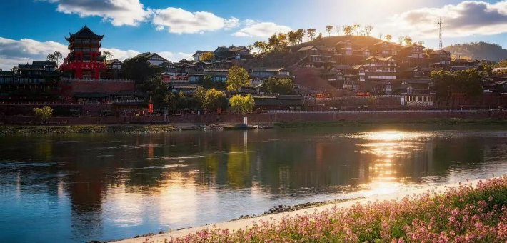 粉紫色油菜花就在金堂这里！