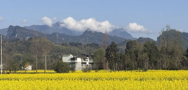 青城山下一站式春日套餐上线