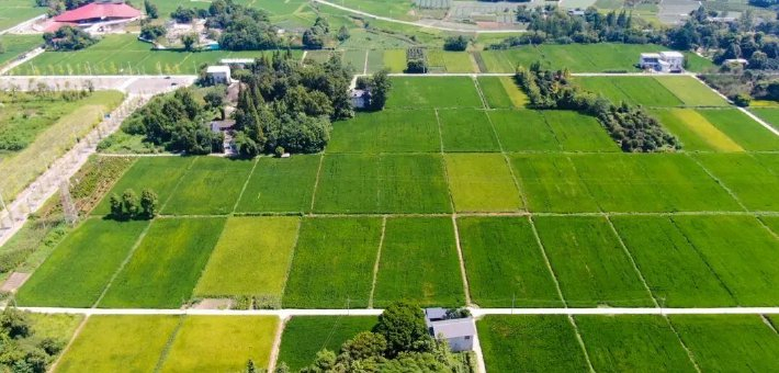 郫都全链条“智”绘春耕新画卷