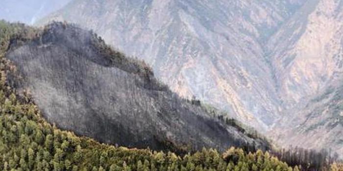 木里森林火灾现场发生复燃 350余名扑火人员已