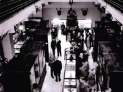 艺术与科学融合的迷人之处，有的在展览之外