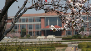 山东工业职业学院