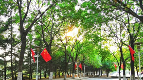 山东农业大学