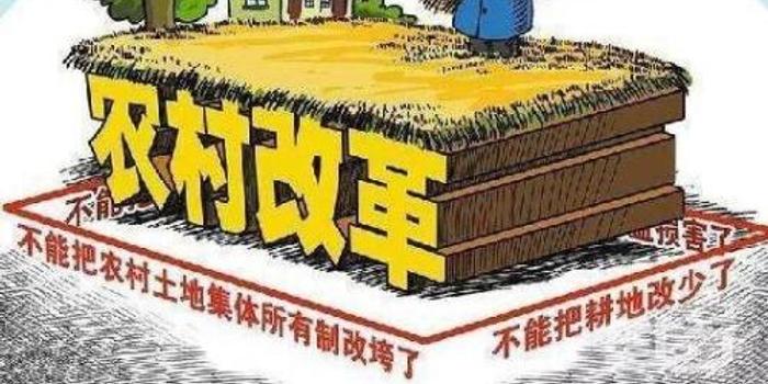 山东2020年10月底前基本完成农村集体产权制