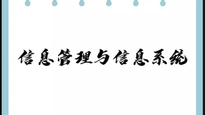 信息管理与信息系统