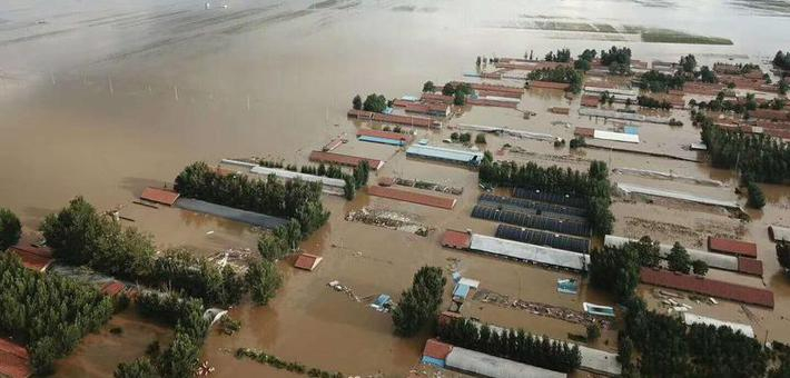 直击寿光抗洪 弥河寿光段遭遇1974年以来最大洪峰