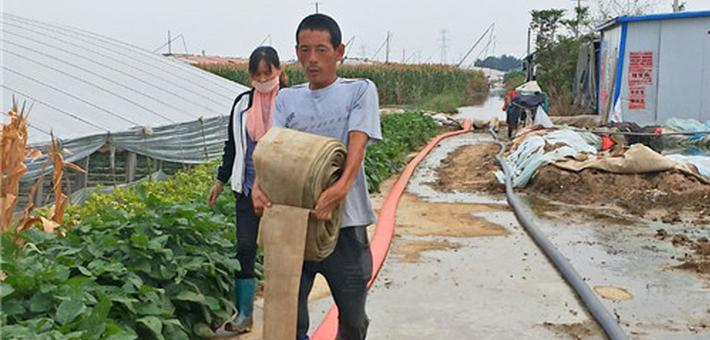 寿光纪台镇东方村大棚水深2米 多组水泵同时抽水