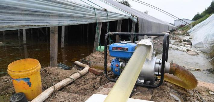 寿光抗洪救灾现场丨菜农积极开展自救