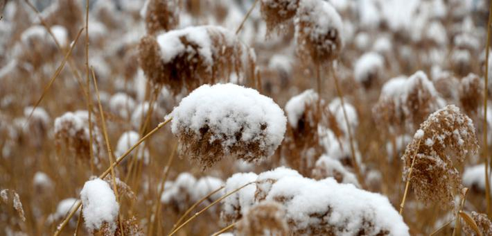 莱芜2019年的第一场雪来了 处处是美景