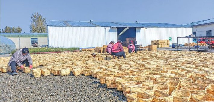 临沂柳编篮海外受青睐