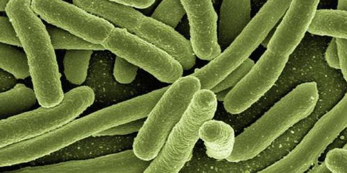 淄博九单位餐具检出大肠菌群 金晶科技上黑榜