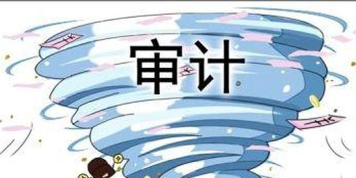 审计查出问题整改不力 山东302人被追责
