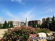 以笔为戈 琴岛学院青年学子“抒”写抗疫力量！