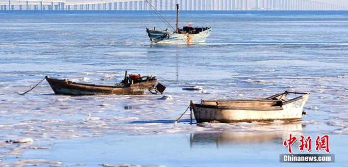 山东青岛胶州湾出现大面积海冰