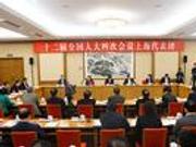 上海代表团审议人大工作报告