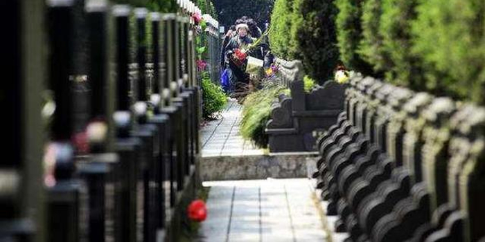 清明特定招聘需求旺 学生兼职墓园司仪时薪过