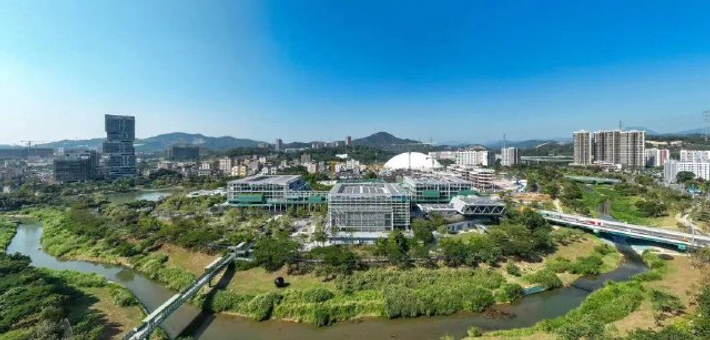 读懂龙岗区全新发布平台“湾区T台”