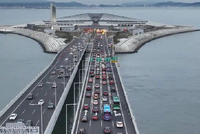 权威发布!2026年春运易堵路段、时段提示来了!