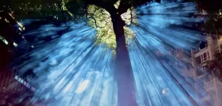 追光逐梦·创新南山