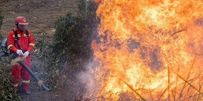 突破人海战术 深圳森林消防大步迈入智慧时代