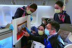 东航全球首架主题彩绘飞机“进博号”首航重庆