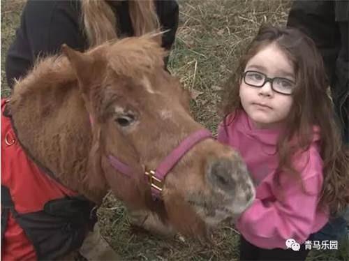 大陆赛马网：一场火灾后，四岁自闭症女孩与她的治愈马重聚