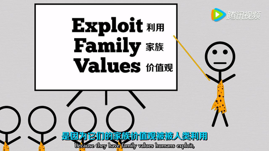 娱乐城注册送彩金【贵宾VIP】娱乐城开户_八