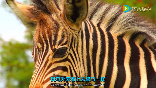 娱乐城注册送彩金【贵宾VIP】娱乐城开户_八