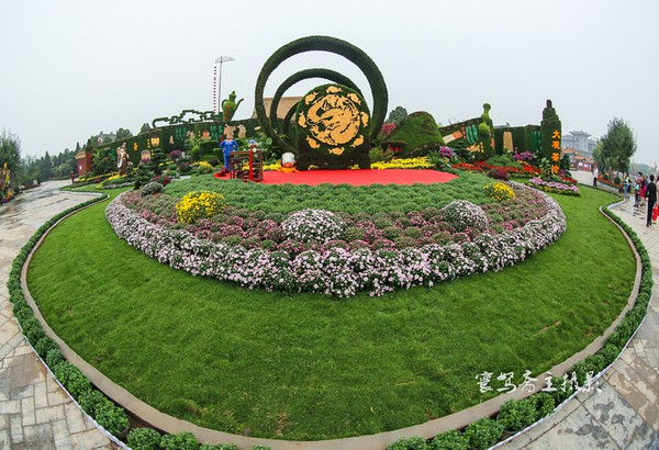 【宋都菊花季】龙亭，穿越到大宋朝去“黄袍加身”