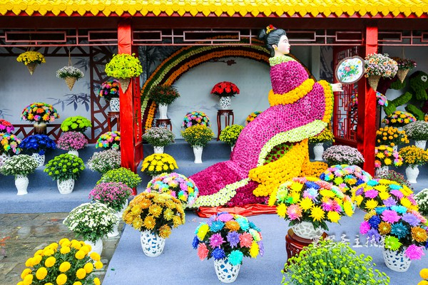 【宋都菊花季】龙亭，穿越到大宋朝去“黄袍加身”