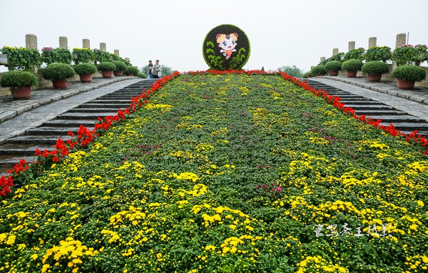 【宋都菊花季】龙亭，穿越到大宋朝去“黄袍加身”