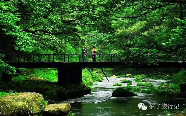 “给读者的”湖南张家界旅游全攻略详细地不要不要的