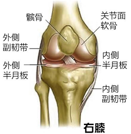 关于跑步护膝，这几点不容忽视！