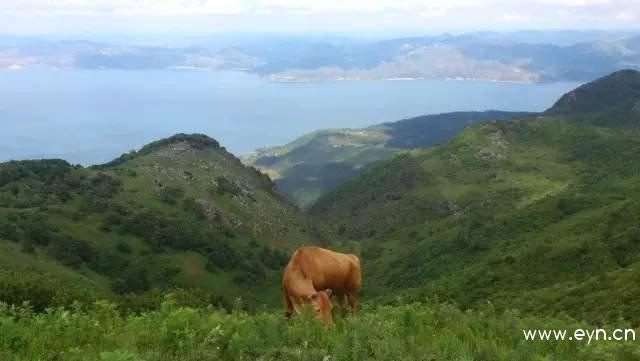 昆明最高的这十座山峰中，你爬过几峰？