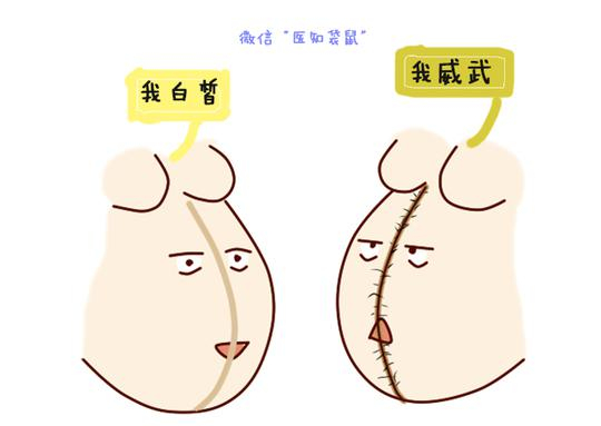 点击此处添加图注内容