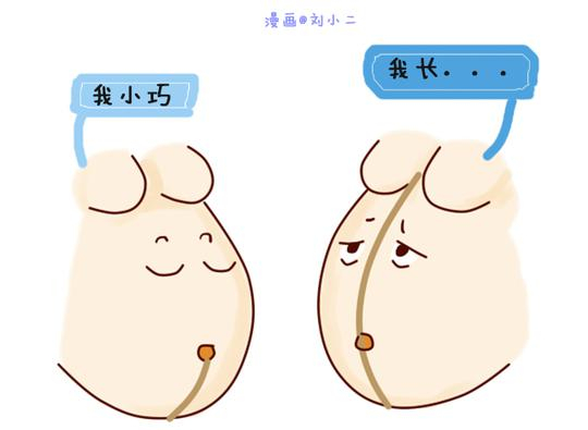 点击此处添加图注内容