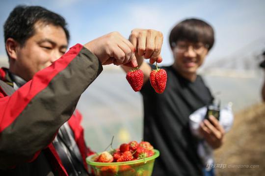 出乎预料！四款6万元以下纯电动车续航实测成绩揭晓