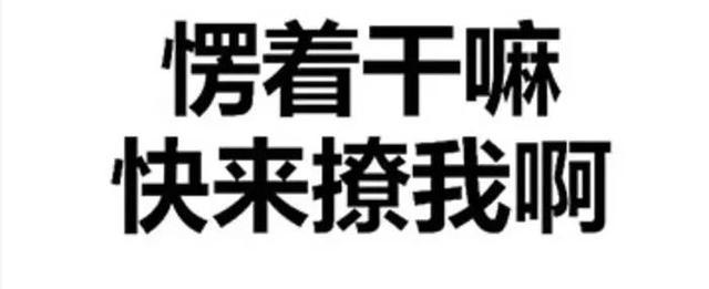 这次我有十个档 野马中期改款发布