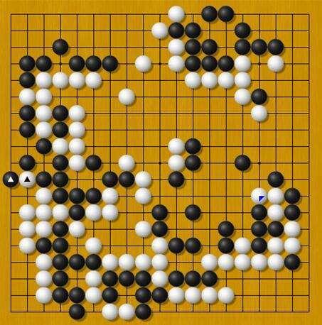 蔡竞：这些年我所下过的围棋1