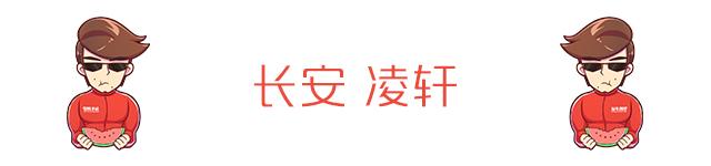 阿尔法罗密欧、众泰豪华SUV...五月就等这几款车！