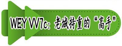 有了“小公举” 这俩SUV“技术咖”更适合三口之家