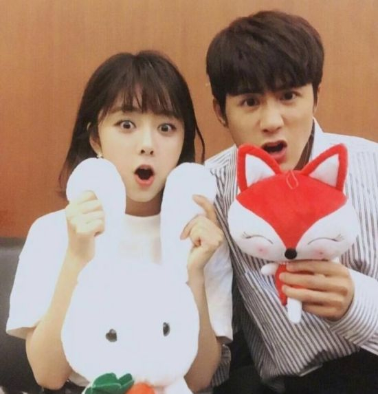 《狐狸的夏天》第二季1-23大结局全集剧情介绍 顾瑾昀韩君瑶...