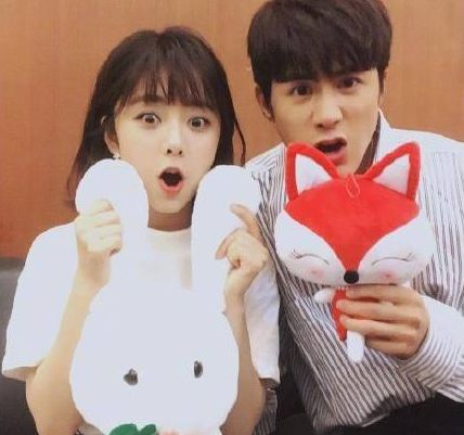 《狐狸的夏天》第二季1-23大结局全集剧情介绍 顾瑾昀韩君瑶...