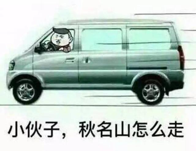 自主品牌都颤抖了 五菱要用宏光的名义出SUV