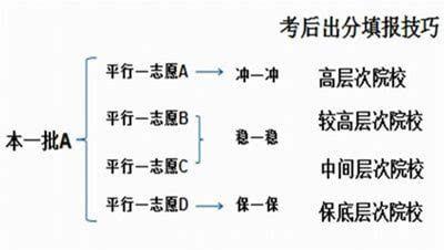 2017山东高考：院校组梯度志愿填报法