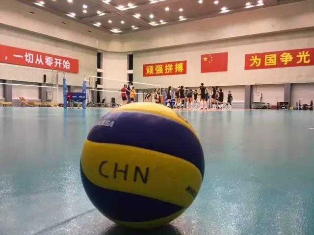 瑞士精英赛女排参赛名单将调整，丁霞等3人确定无缘